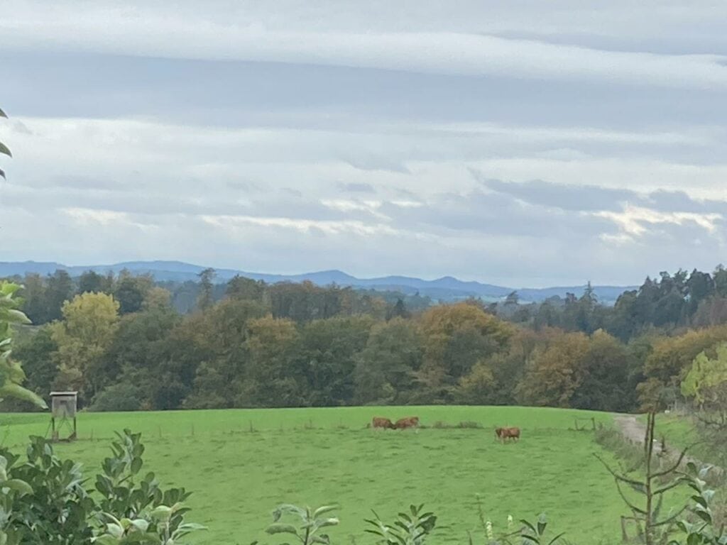 Wohnen auf Zeit im Rhein-Sieg-Kreis nahe Köln, Bonn, Hennef und Siegburg